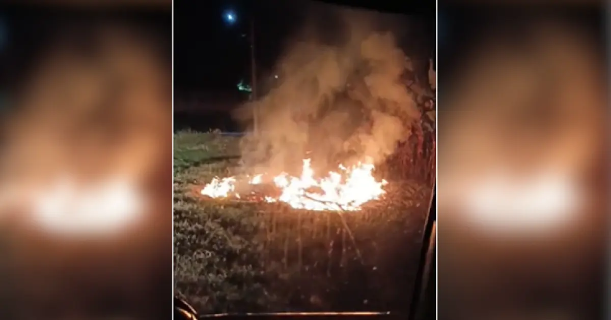 Bombeiros combatem três incêndios em vegetação durante a madrugada