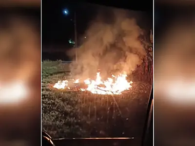 Bombeiros combatem três incêndios em vegetação durante a madrugada