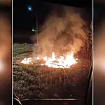 Bombeiros combatem três incêndios em vegetação durante a madrugada