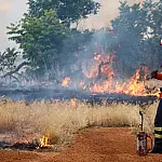 Preparação contra fogo avança em áreas de risco de Mato Grosso do Sul