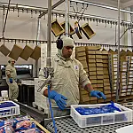 Exportações de industrializados de MS somam US$ 605,1 milhões em maio