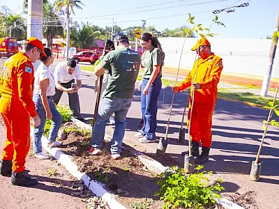Corumbá aposta na arborização urbana para frear mudanças climáticas