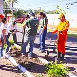 Corumbá aposta na arborização urbana para frear mudanças climáticas