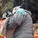 Bombeiros mobilizam resgate fluvial para socorrer Bebê de um mês no Paiaguás