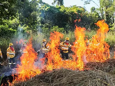 Brigadas do Pantanal recebem treinamento para uso do fogo controlado