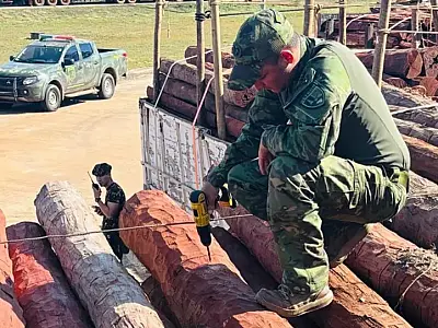 Operação internacional intercepta até 50 toneladas de cocaína líquida em carga de madeira
