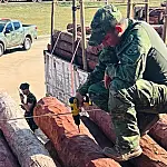 Operação internacional intercepta até 50 toneladas de cocaína líquida em carga de madeira