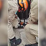 Bombeiros resgatam cachorro preso em grade de portão no Nova Corumbá