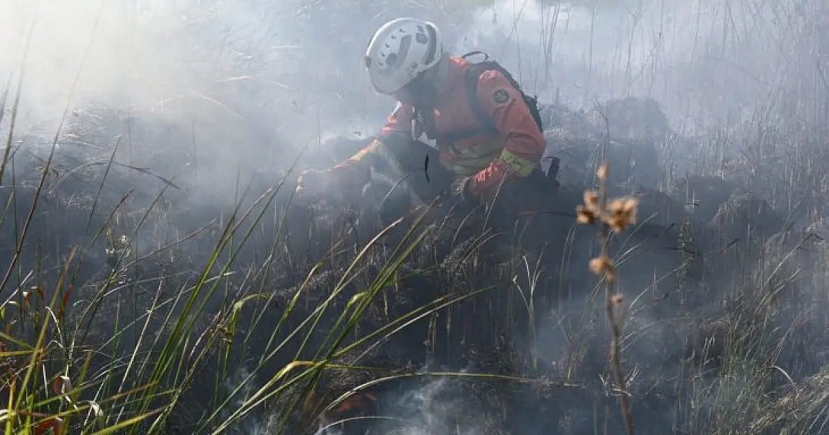 Estado decreta emergência ambiental e amplia prevenção ao fogo