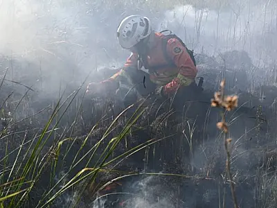 Estado decreta emergência ambiental e amplia prevenção ao fogo