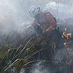 Estado decreta emergência ambiental e amplia prevenção ao fogo